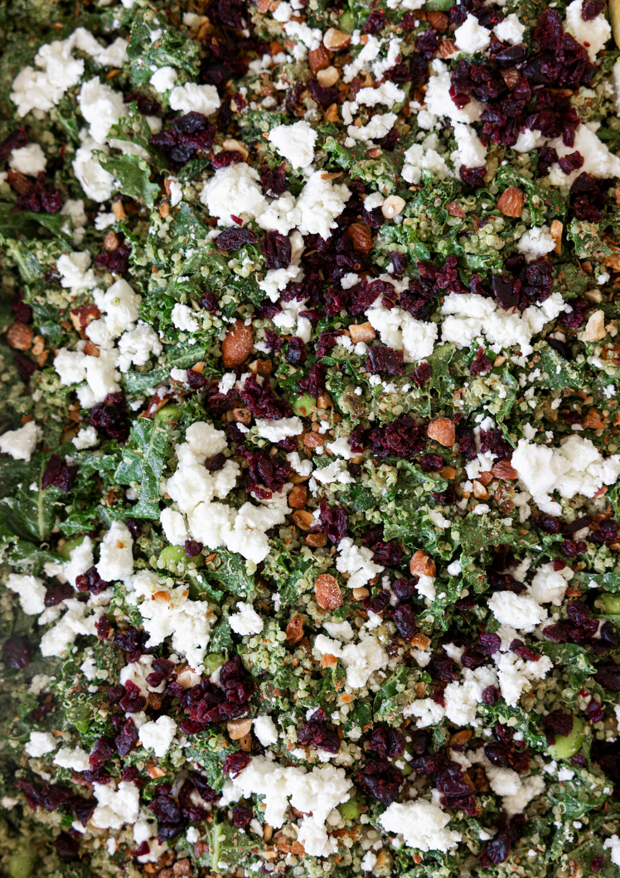 Green salad, kale, edamame, quinoa, cranberries, almonds, goat's feta, green goddess dressing